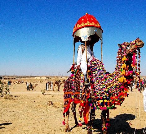 Rann Utsav