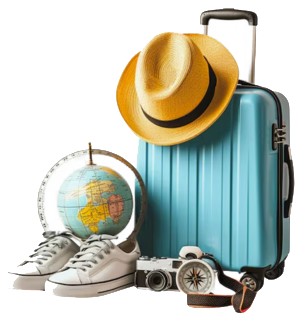 Traveler